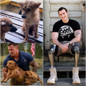 Prosthetic Legs of Fox News’ Johnny Joey Jones Become a Beacon of Hope in Texas – The Veteran-Turned-Host and Editor Bravely Rescues at Least 20