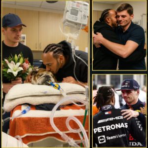 When the Engines Fall Silent: Lewis Hamilton, Max Verstappen, and a Moment of Humanity Beyond the Track