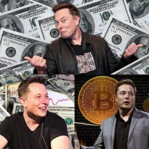 Imagine Elon Musk, the world's richest person, decided to distribute his Tesla wealth evenly among all Americans. With an estimated net worth of $480.2