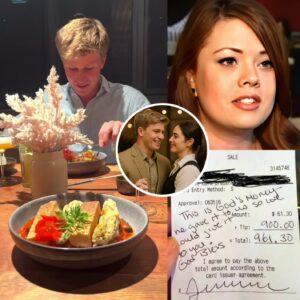 Robert Irwin’s Quiet Act of Kindness That Changed a Waitress’s Life