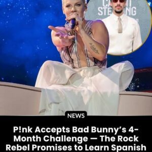 P!nk Joins Bad Bunny’s Super Bowl Buzz — And Starts Learning Spanish to Celebrate His Bold Halftime Show Response nabeo