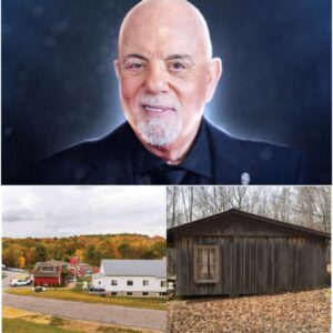 While most artists build mansions, Billy Joel is building a sanctuary for addicts, ex-convicts, and lost children no one knows about. He is self-funding the project, calling it THE FIELD OF CHARACTER
