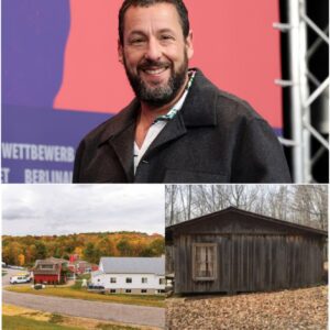 While most artists build mansions, Adam Sandler is building a sanctuary for addicts, ex-convicts, and lost children no one knows about. He is self-funding the project, calling it THE FIELD OF CHARACTER