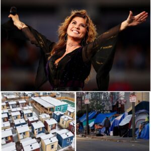 BREAKING NEWS: Shania Twain Donates $1.2 Million to Build Homeless Support Centers in Ohio — A Powerful Act of Heart and Humanity nabeo