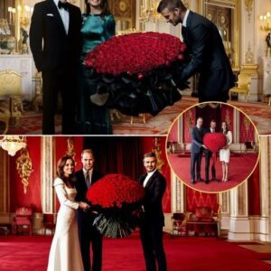 Two Viral “Booms”: The Pelosi–John Kennedy Showdown and Beckham’s “999 Roses”. TT