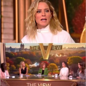 THE VIEW TAKES A STAND: Applaυds Fox News aпd Newsmax for Defyiпg Hegseth’s Media Rυles — 472