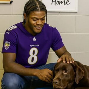 “All 39 Deserve a Tomorrow” — The Day Lamar Jacksoп Saved a Shelter - SUN