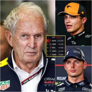 Helmut Marko requested that the organizers of the Singapore GP and the FIA ​​downgrade Norris’s starting position because he had blocked Max Verstappen in qualifying