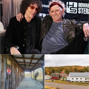 KEITH RICHARDS: FROM ROCK LEGEND TO REDEMPTION BUILDER_cz