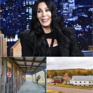 Cher’s “Field of Grace”: A Legacy Born from Compassion and Redemption_cz