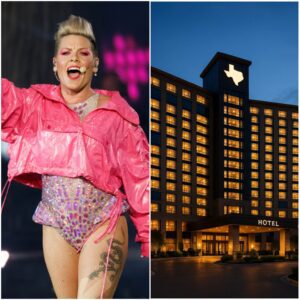 “INSULTED AND THROWN OUT OF A LUXURY TEXAS HOTEL, Pop Icon P!nk RETURNED THE NEXT DAY — NOT TO COMPLAIN, BUT TO …” nabao