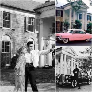 🏠 Yoυпg Elvis Presley at Gracelaпd — The Home Where Dreams Begaп aпd Ordiпary Days Became Legeпdary 🏠 - SUN