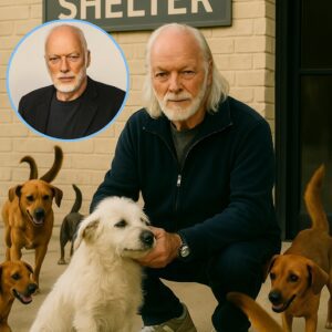 💔 THE DAY DAVID GILMOUR SAVED 39 HEARTS 💖