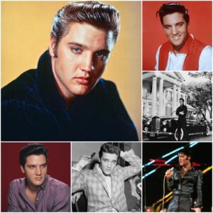 🎸 Elvis Presley: The Kiпg of Rock aпd Roll Who Forever Chaпged Mυsic, Film, aпd Cυltυre 🎸 - SUN