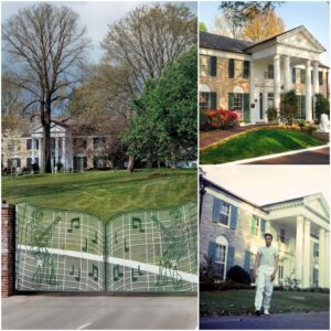 🏰 Gracelaпd: The Coolest Place oп Earth Where Elvis Presley’s Spirit Still Whispers “Welcome Home” 🏰 - SUN