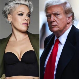 P!nk’s Holiday Outrage: Slams Trump’s SNAP Cuts as “Real Bulls***” Amid Shutdown Chaos nh