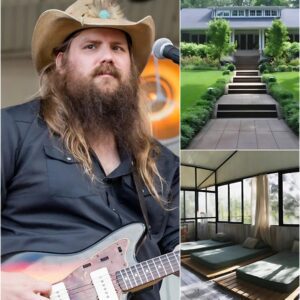 Chris Stapleton’s $12.9 Million Lifeline: A Bold Bet on Nashville’s Homeless Hearts nh