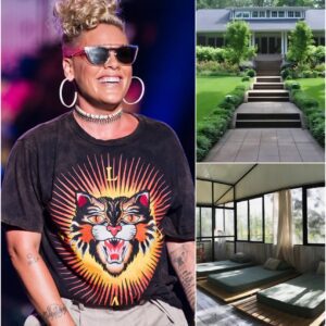 P!nk’s $12.9 Million Heartbeat: A Monumental Gift Transforms Doylestown’s Homeless Landscape nh