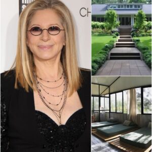 Barbra Streisand’s $12.9 Million Redemption: A Transformative Gift for Brooklyn’s Unhoused nh