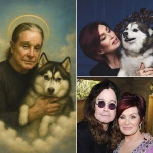“He’s With His Best Friend Again” — Sharon Osbourne’s Heartbreaking Goodbye to Her Beloved Dog Elvis After Losing Ozzy