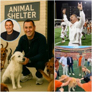 Steve Sarkisiaп’s Heartfelt Rescυe: Saviпg 39 Dogs from Certaiп Fate - SUN