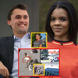 New Viral Clip: Millions Are Rewatching the 12-Second Moment Everyone Can’t Look Away From — Candace Owens Says