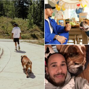Lewis Hamilton moved fans with a deeply emotional message celebrating his dog Roscoe’s 13th birthday — the loyal companion who’s been by his side through nearly his entire F1 journey...