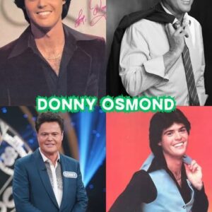 🎶 Donny Osmond’s “Why”: When Music Becomes Confession. 4T