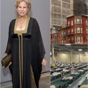 Barbra Streisand Donates $5 Million to Build Brooklyn Homeless Network: A Legend Gives Back to Her Roots. ws
