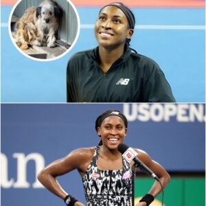 No spotlight, no show — Coco Gauff quietly spends $20 million to build a sanctuary for thousands of abandoned dogs. A small act of kindness, a world of compassion.