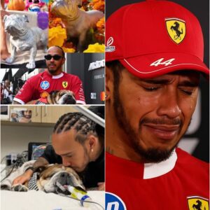 The Mexico GP delivered one of the most touching — and unexpected — moments of the season, unveiling a special statue of Roscoe, Lewis Hamilton’s beloved dog, on a traditional Day of the Dead altar...