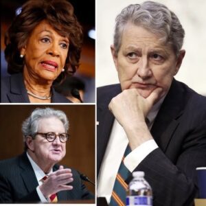 🚨 BREAKING: Maxine Waters STUNNED After ATTACKING Sen. John Kennedy — And Facing the Most Devastating Backlash of Her Career 🚨. Krixi