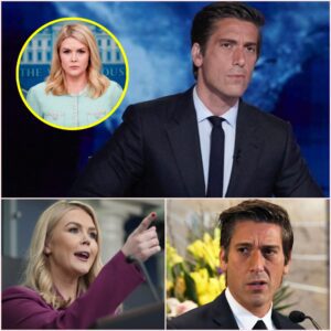 Karoline Leavitt Said, “You Need to Be Silent” — David Muir Read the Entire Post Out Loud, Making Her Regret It...bainay30ktraffic