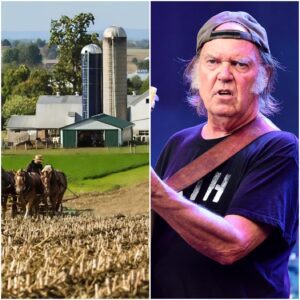 NEIL YOUNG WALKS AWAY FROM $18 MILLION DEAL — “I WON’T PROFIT FROM THOSE WHO EXPLOIT FARMERS” - SUN