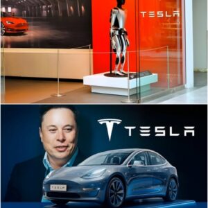 Custom AI chip “AI5” for Tesla, Inc. vehicles