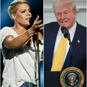 🔥 P!nk Stands Her Ground: A Musical Reckoning Against Power That Shook the Nation nn