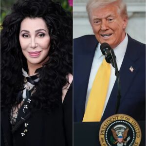 CHER STANDS STRONG: WHEN MUSIC REFUSED TO BOW TO POLITICS cz