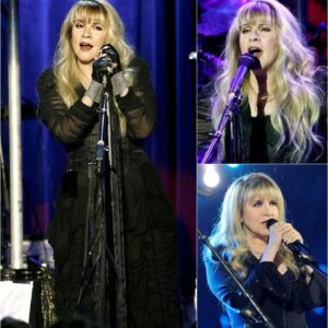 WHEN STEVIE NICKS FINALLY SPOKE HER TRUTH — THE WORLD STOPPED TO LISTEN cz