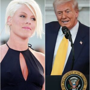 P!NK's Unscripted Rally: The "Just Give Me a Reason" Moment That Redefined a Nation nh