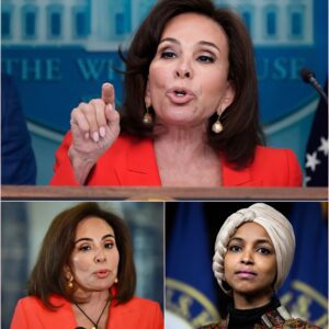 Jeanine Pirro's Ultimatum: Ban Dual Citizens from Congress or Risk America's Soul. ws