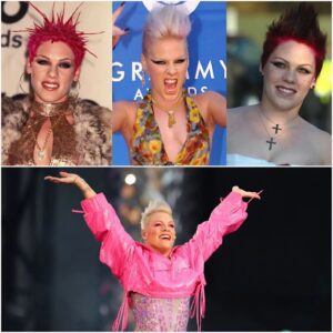 Rebel Yell to Record-Breaker: P!nk’s Defiant Rise from Rejection to Reign lht