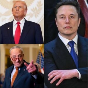 🔥BREAKING: Elon Musk lashes out at the Democrats — claiming they’re deliberately prolonging the shutdown to “import voters” and lock in power. 😳 What does this mean for democracy? Full story in c0mments 👇
