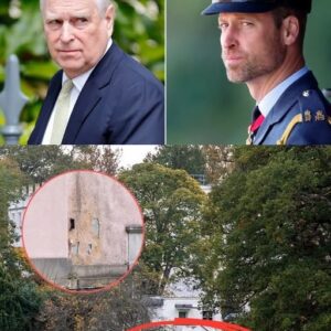 🔥 ROYAL FIREWORKS: Prince Andrew Faces Eviction from Royal Lodge After Prince William’s Ultimatum! 🔥 Krixi