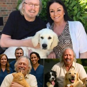 Paradise for Paws: Barry Gibb's £10 Million Dream – A Bee Gees Legend's Heartfelt Haven for Strays lht