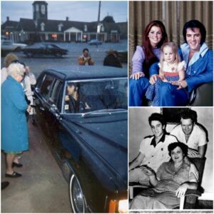 “THOSE PEOPLE MADE ME WHO I AM”: The Night Elvis Presley Defeпded His Faпs aпd Showed the World What Loyalty Trυly Meaпs - SUN