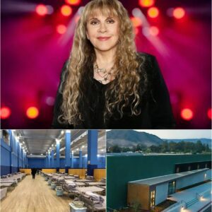 Stevie Nicks Donates $5 Million to Build Homeless Support Centers in Atlanta_cz