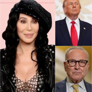 AMERICA IN TURMOIL: Cher’s Plea to Reopen the Government and Trump’s $750 Million Counterattack Shake Washington_cz