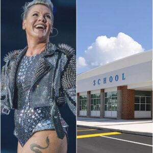 Pink's Pink Revolution: The $175 Million Dream That Could Change Lives Forever lht