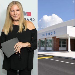 Streisand's Symphony of Sanctuary: The Diva's $175 Million Gift to Orphans – A Boarding School of Hope That Strikes the Soul's Deepest Chord. ws
