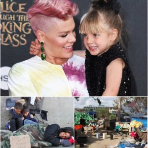 Pink Bricks, Pink Heart: P!nk's Secret Habitat for Humanity Build – A Mother's Quiet Revolution lht
